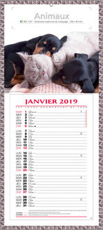 calendrier personnalise nos animaux preferes