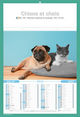 calendrier personnalise chats et chiens 3